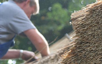 professional Watergate thatchers