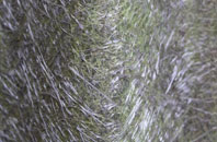 Watergate fibreglass roof work